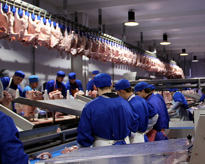 «Евродон»: 390 тысяч тонн мяса индейки с начала проекта